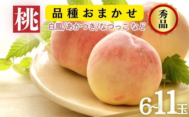 【2026年8月発送】品種おまかせ（白鳳、あかつき、なつっこなど）秀品 約3kg 6～11玉 桃 もも 果物 信州 長野