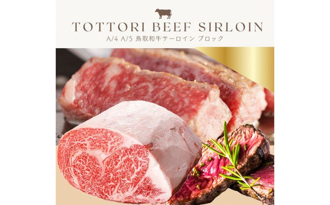 y挧sza T[CubN 3kg 312011_FT009