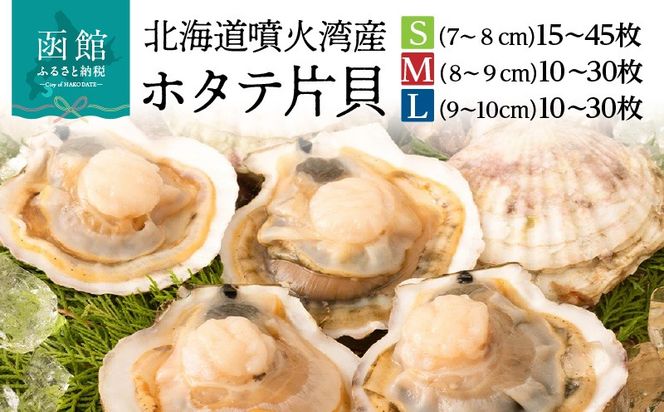 ykCَszkC ΘpY z^e ЊL Iׂ TCY S M L e v 10 ` 45 Yp Θp VN ꖇ }Ⓚ ƂĂÂ | o^[ݖĂ  O^Ă o[xL[ ԏĂ C̖o CN  L CY  َs _HD1