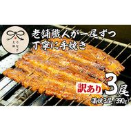 【0363715a】＜訳あり・数量限定＞鹿児島県産東串良町のうなぎ蒲焼(3尾・計390g以上・秘伝のタレ付き) うなぎ 高級 ウナギ 鰻 国産 蒲焼 蒲焼き たれ 鹿児島 訳あり【うなぎ太郎】