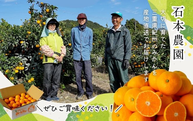 みかん 訳あり 2S-2Lサイズおまかせ 石本農園の早生温州みかん 約4.5kg【11月下旬から12月末頃までに順次発送】 / みかん ミカン 蜜柑 早生温州 早生 訳あり　おまかせ【mis014B】
