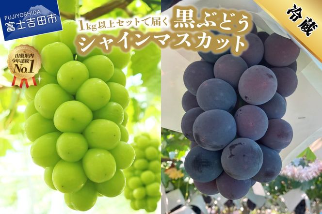 【2026年発送】ジューシーで甘さ抜群 シャインマスカットと黒ぶどうセット(1kg以上) マスカット ぶどう 果物 フルーツ 旬 高級 2026年 山梨 富士吉田