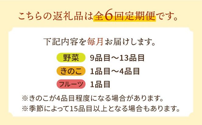 【6回コース】豪華！野菜 セット 15品目以上 6回 定期便 フルーツ キノコ 詰め合わせ / 南島原市 / 吉岡青果 [SCZ002]