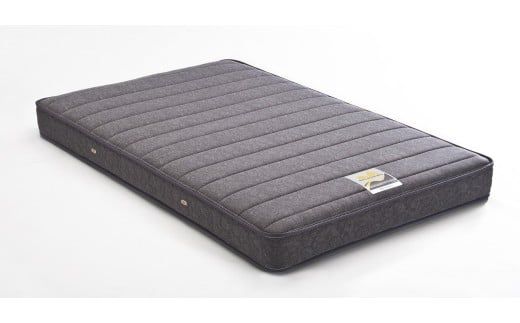 フランスベッド電動リクライニングBO-06（2モーター：背上げ・脚上げ）レッグタイプ　マットレス・手すり付き（ダブル）