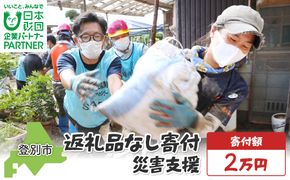 日本財団災害復興支援特別基金への寄附【災害支援】（返礼品なし）【MRI-AiD】【寄付額：2万円】
