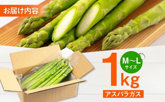 採れたてを直送！糸島野菜 アスパラガス 1kg (M-Lサイズ) 糸島市 / しろファーム 野菜 アスパラ[AHQ001]