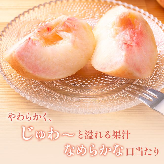 【2026年発送】志賀高原の麓で育った 桃（白鳳系）特秀18玉 約５kg 桃 もも 白鳳 フルーツ 果物 デザート 長野県 長野