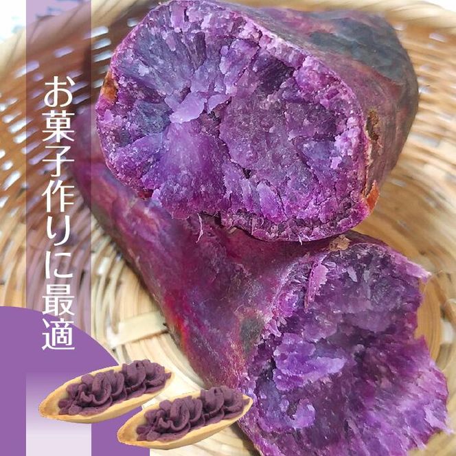 【2025年11月より順次発送】2025年度産 パープルスイートロード 約2kg｜さつまいも 芋 お芋 パープルスイートロード 渋谷農園 先行予約 茨城県 行方市(BZ-54)