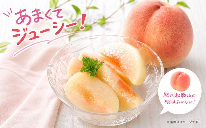 【ご家庭用訳あり】紀州和歌山産の桃　約1.8kg（5玉〜8玉）※2027年7月中旬頃〜8月中旬頃順次発送（お届け日指定不可）【uot873】