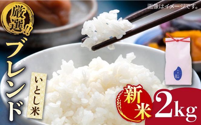 yszyߘa7NYVāzƂā@Iuh@2kg(Y)y2025N11ȍ~zs/OX[AIM064]      ߂ Ђ̂Ђ@qmqJ@B 