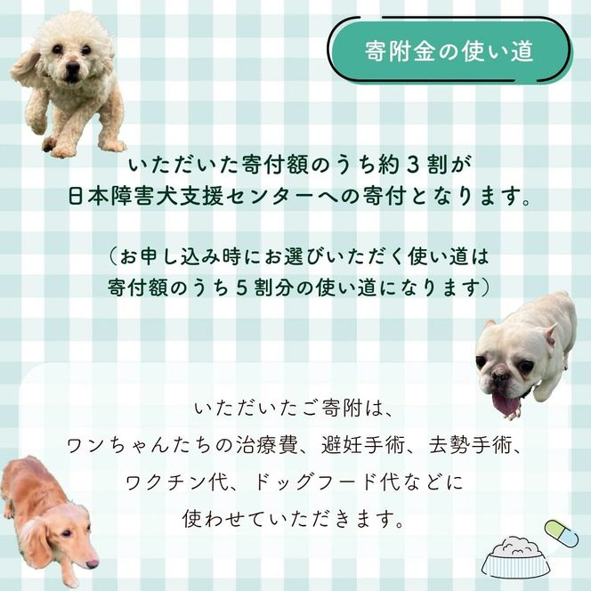 【返礼品なし】 【金額選べる】 障害犬 保護犬の支援 保護 支援 里親 譲渡 治療 餌 犬 動物愛護 藤枝市 静岡県