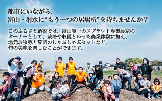 【射水市】【農業】【体験】スプラウト農家（豆苗、カイワレ、ブロッコリースプラウト）オーナー権