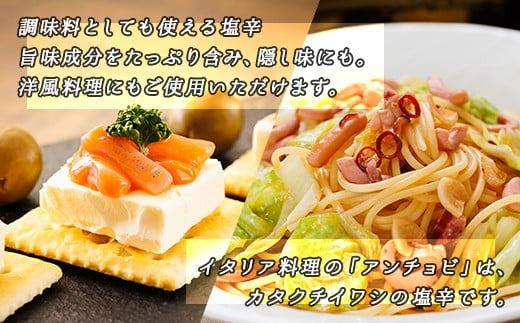 【定期便 5ヶ月連続】北海道産 いか塩辛 130g×5パック 釧路港＜パック＞ | 塩辛セット 塩辛 いかの塩辛 烏賊 いか イカ セット 冷凍 小分け 調理済み 一人暮らし セット おかず 定期便 魚介類 海鮮 絶品 人気 笹谷商店 直営 釧之助本店 高級 北海道 釧路町 釧路超 特産品 121-1920-441-076