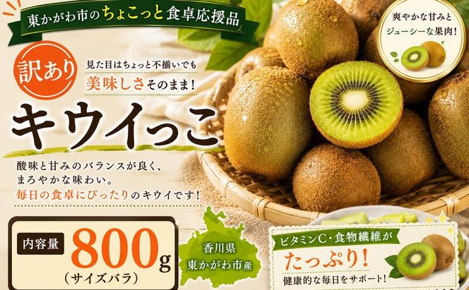 東かがわ市のちょこっと食卓応援品「キウイっこ 800g（サイズバラ）」