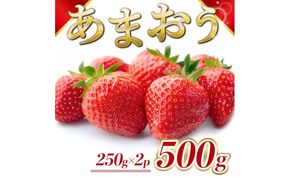 苺 福岡県産 あまおう 500g（2パック） 先行予約 発送予定：2027年1月より順次発送 いちご イチゴ 果物 ※配送不可:離島