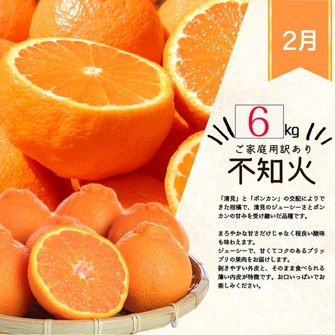 〈定期便〉【1・2・3・4月 全4回】紀州和歌山産旬のご家庭用柑橘セット(みかん・不知火・せとか・清見) ※離島への配送不可