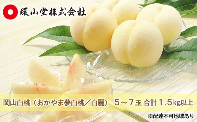 桃 2026年 先行予約 岡山 白桃（品種：おかやま夢白桃／白麗）5～7玉 合計1.5kg以上 もも モモ 岡山県産 国産 フルーツ 果物 ギフト 環山堂
