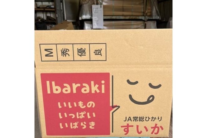 2026年産 スイカ 羅皇ザ・スウィート 6kg ｜茨城県産 産地直送 甘い あまい ※2026年6月～発送