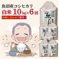 【６か月定期便】令和８年産新米　魚沼産コシヒカリ 精米10kg×６回　計60kg