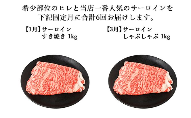 【年6回奇数月発送】伊賀牛 A5ヒレ・サーロイン 定期便A 総合計約6.1kg【dido-tkb0006】