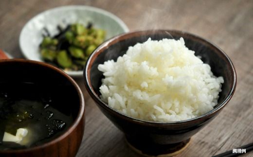 《先行受付》【令和7年産】10年連続優秀表彰受賞『ゆめぴりかの匠』 ゆめぴりか(5kg)【4100101】