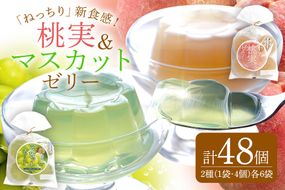 346.《桃実・マスカットゼリー》48個セット