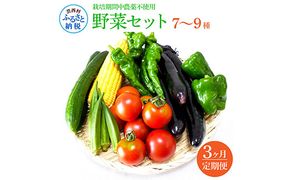 【CF-R7hbk】t139slv　野菜セット（7‐9種類） 《3カ月定期便》 栽培期間中農薬不使用！ 季節の野菜 定期コース 定期 無農薬 野菜 やさい 新鮮 自然 健康 セット 詰め合わせ 冷蔵 美味しい おいしい 食べ物 食材 秋 旬の味覚 ご当地 お取り寄せ 芸西村 18000円 故郷納税 返礼品