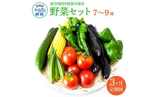【CF-R7hbk】t139slv　野菜セット（7‐9種類） 《3カ月定期便》 栽培期間中農薬不使用！ 季節の野菜 定期コース 定期 無農薬 野菜 やさい 新鮮 自然 健康 セット 詰め合わせ 冷蔵 美味しい おいしい 食べ物 食材 秋 旬の味覚 ご当地 お取り寄せ 芸西村 18000円 故郷納税 返礼品