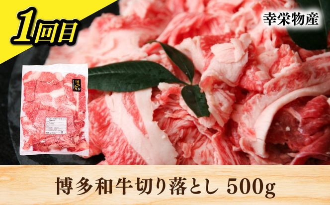 【全3回定期便】糸島・お肉定期便（お手軽コース） 毎月2-3人前[AAH017]