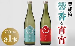 日本酒 響香 宵宵 720ml 各1本 - セット 詰め合わせ お酒 日本酒 地酒 純米酒 純米大吟醸 純米吟醸 高知県産 食中酒 晩酌 アルコール リニューアル 飲み物 飲料 お祝い 贈り物 高木酒造 高知県 香南市 常温 冷蔵 gs-0210