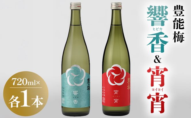 日本酒 響香 宵宵 720ml 各1本 - セット 詰め合わせ お酒 日本酒 地酒 純米酒 純米大吟醸 純米吟醸 高知県産 食中酒 晩酌 アルコール リニューアル 飲み物 飲料 お祝い 贈り物 高木酒造 高知県 香南市 常温 冷蔵 gs-0210
