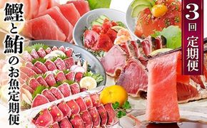 定期便3回配送　鰹とまぐろのお魚定期便　QQ-0005 【1543247】