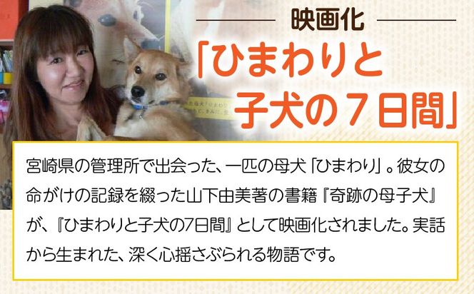 保健所犬猫レスキュー【返礼品なしのご寄附】犬 猫 保護 レスキュー 動物愛護 返礼品なし ペット 保護犬 保護猫 支援 応援 ボランティア_kn101-003