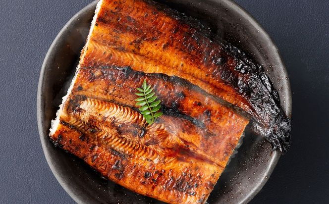 ＜うなぎ蒲焼 （175～200g）×2尾＞ 翌月末迄に順次出荷【c972_un_x3】