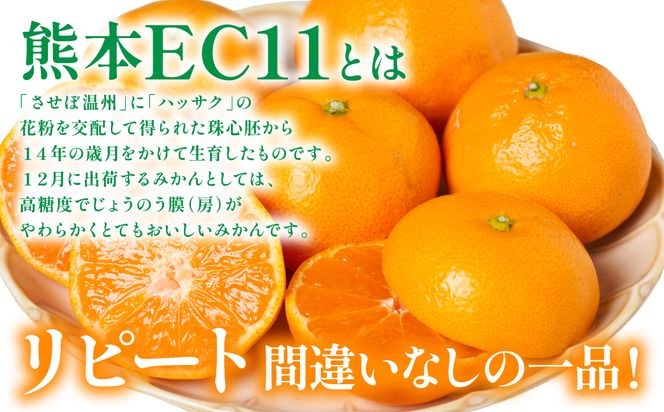 【先行予約】 八代市東陽産山本さん家の「熊本EC11みかん」 約5kg みかん 柑橘 フルーツ 果物 果実 ミカン 蜜柑 熊本県 八代市 【2026年11月上旬より順次発送】