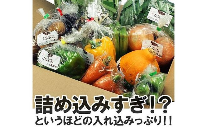 【定期便全4回】3ヶ月に1度お届け！岩沼みんなの家の「みんなの直売！野菜」セット詰め合わせ隔月4回 詰合せ 