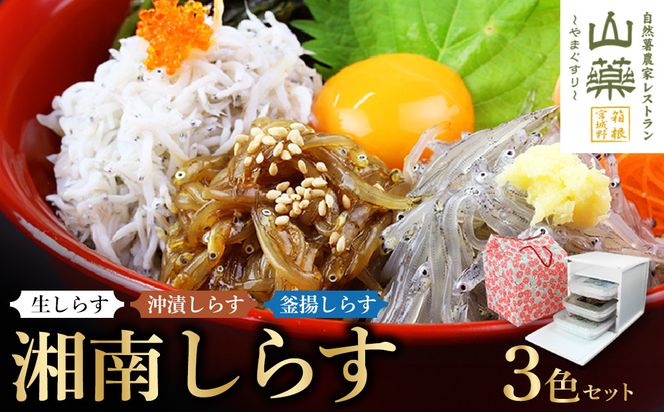 湘南しらす　3色セット｜魚介 湘南産しらす 食べ比べ 人気 おすすめ しらす 小魚 海産物 おつまみ 冷凍 食品 加工品 おすすめ 人気 送料無料 神奈川県 小田原市 142069_DV013