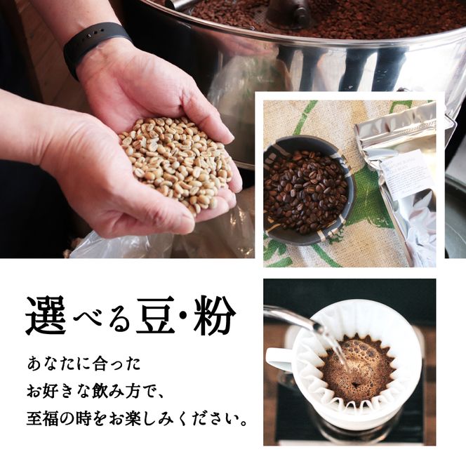 10-105自家焙煎コーヒー豆　お試しパック４種　100g×4