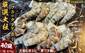 むきえび ブラックタイガー 40尾 10尾×4P 小分け 冷凍 背わたなし むき海老 剥きえび えび エビ 海老 大容量 魚介 海鮮 下処理不要 越前 厳選 福井県 若狭町