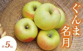 【2026年発送】ぐんま名月 約5kg りんご リンゴ 林檎 果物 フルーツ 長野県 長野 山ノ内町