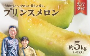 プリンスメロン ( 7～8玉 入り) 1箱 約 5kg フルーツ 果物 くだもの お取り寄せ 茨城県産 産直 直送 【 先行予約 2026年5月下旬 以降発送 】【 令和8年産 】【 農家直送 】【 昭和の大衆メロン 】 [AX020ya]