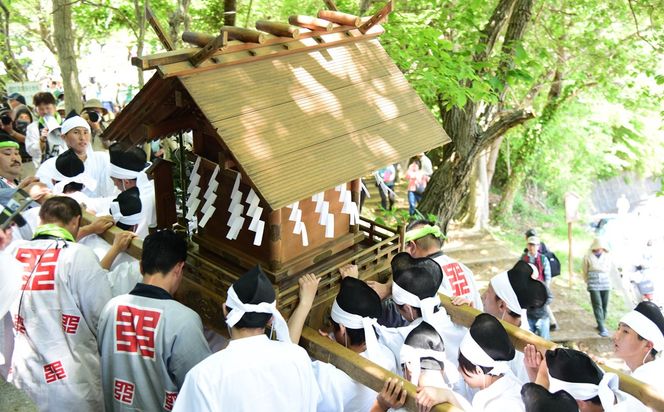 159-2012-03　5月5日（火）限定日帰りガイドツアー千年の歴史を伝える相模国府祭を訪ねる。（老舗松月のお弁当付）参加券（メールにて送信）