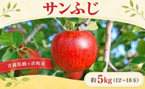りんご サンふじ 青森県産 約 5kg (12～18玉） フルーツ 果物 ふじ 産地直送 お取り寄せ 送料無料 青森県 鰺ヶ沢町 《木村りんご園》