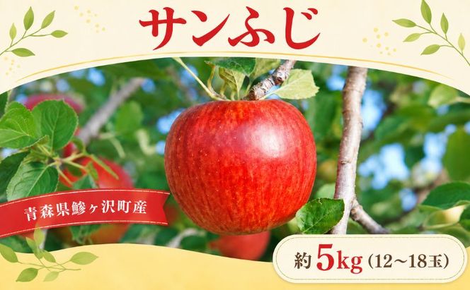 りんご サンふじ 青森県産 約 5kg (12～18玉） フルーツ 果物 ふじ 産地直送 お取り寄せ 送料無料 青森県 鰺ヶ沢町 《木村りんご園》