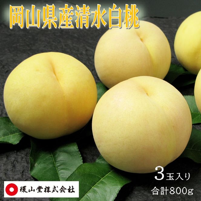 桃 2027年 先行予約 清水白桃 3玉 合計800g もも モモ 岡山県産 国産 フルーツ 果物 ギフト 環山堂