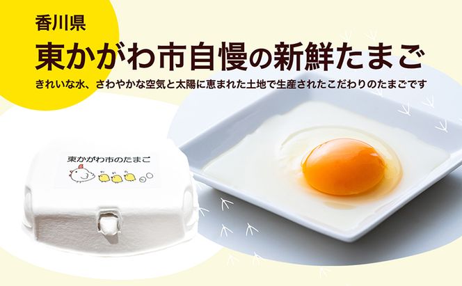 東かがわ市のたまご「鶏卵Mサイズ（10個×3P）」 新鮮卵 卵料理 食材 料理 調理 グルメ 玉子かけご飯 TKG 