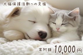 犬猫保護活動への支援 1万円 [NPO法人セブンデイズ 福岡県 筑紫野市 21761490] 保護 動物 犬 猫 犬猫 保護犬 支援 応援 イヌ ネコ いぬ ねこ ペット動物愛護 愛護 保護活動