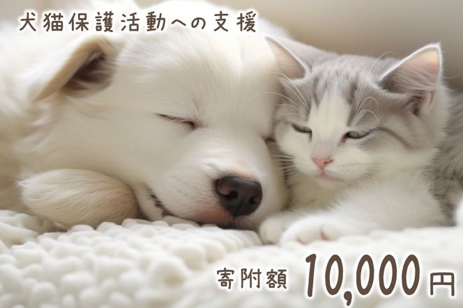 犬猫保護活動への支援 1万円 [NPO法人セブンデイズ 福岡県 筑紫野市 21761490] 保護 動物 犬 猫 犬猫 保護犬 支援 応援 イヌ ネコ いぬ ねこ ペット動物愛護 愛護 保護活動