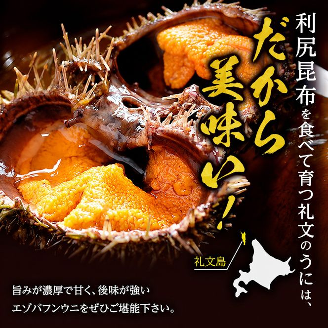 北海道 礼文島産 採れたて ミョウバン不使用 エゾバフンウニ 塩水パック 100g×1個［株式会社やまじょう］【 うに ウニ 雲丹 生うに 塩水うに バフンウニ 滅菌海水 海鮮 うに丼 濃厚 甘み 】
