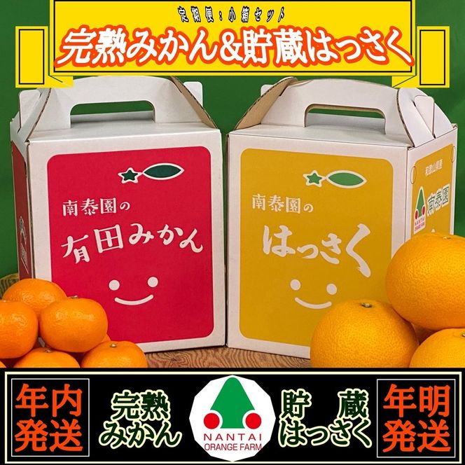 《みかんは年内発送》定期便 手さげ箱 セット 完熟早生 有田みかん ＆ はっさく 全2回 南泰園 BS835